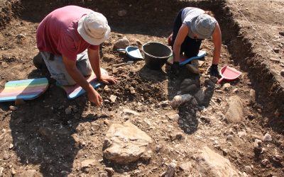 Archaeological excavations at the site of Magjerica
