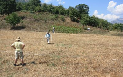 Geophysical and geochemical surveys