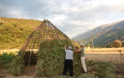 Reconstructing a Vlach historical dwelling – the kalive