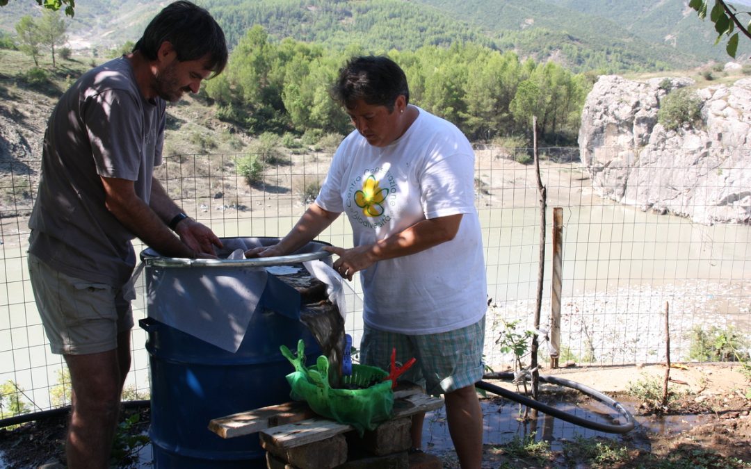 Archaeological excavation at the site of Magjerica