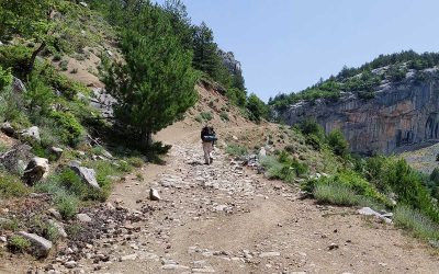 Walking along the Vlachs Historic Transhumance route